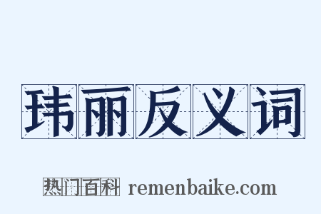 玮丽反义词是什么意思的图片